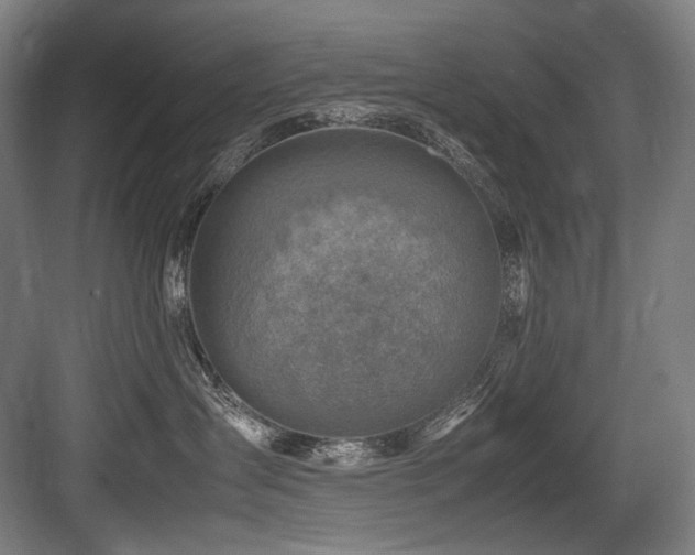 X0000083660431200702121221
