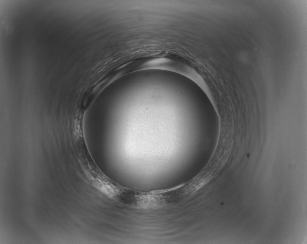 X0000083660432200702121221