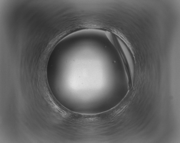 X0000083660433200702121220