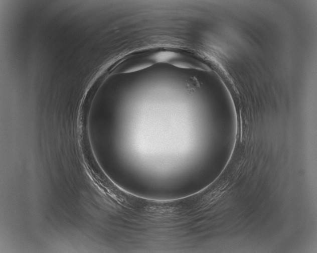 X0000083660435200702121220