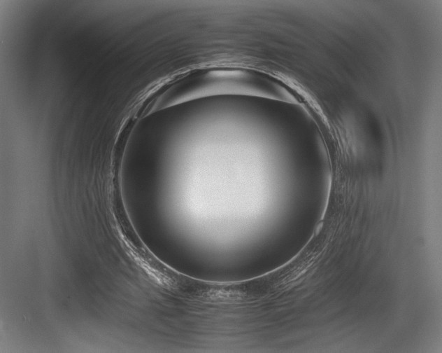 X0000083660437200702121220