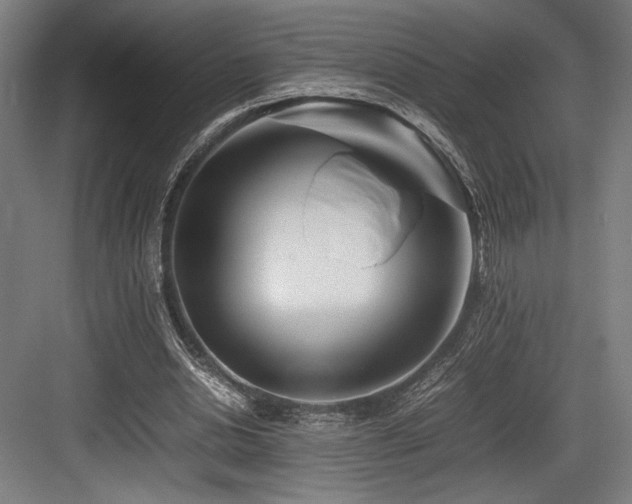 X0000083660438200702121220