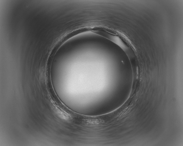 X0000083660439200702121220