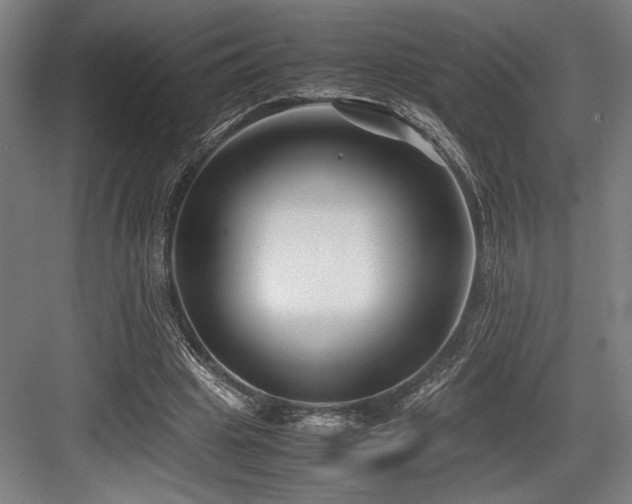 X0000083660441200702121220