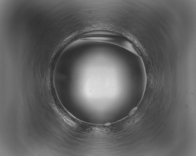 X0000083660442200702121220