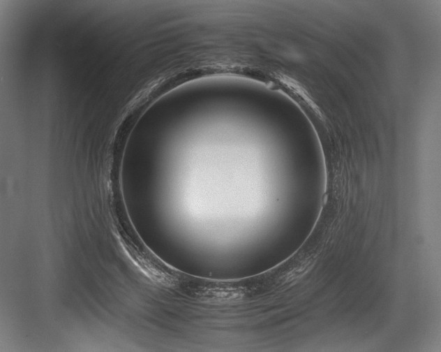 X0000083660443200702121220
