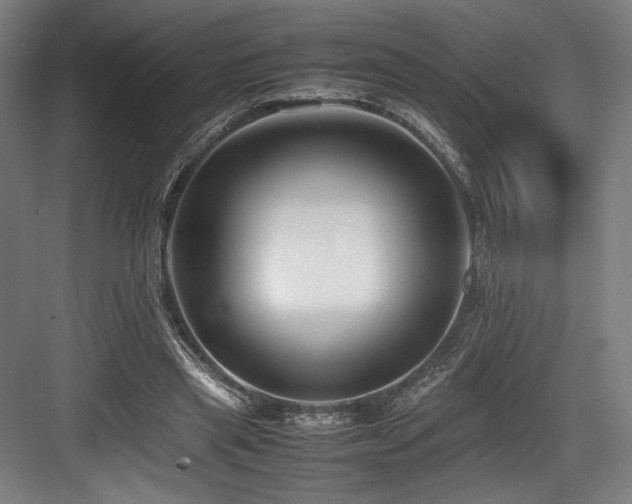 X0000083660445200702121220