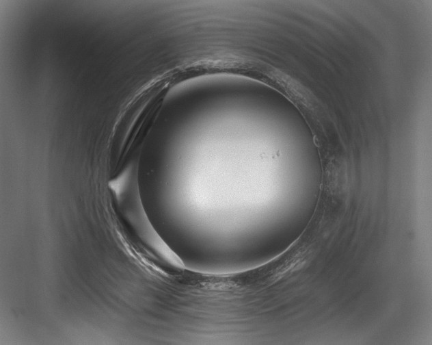 X0000083660446200702121220