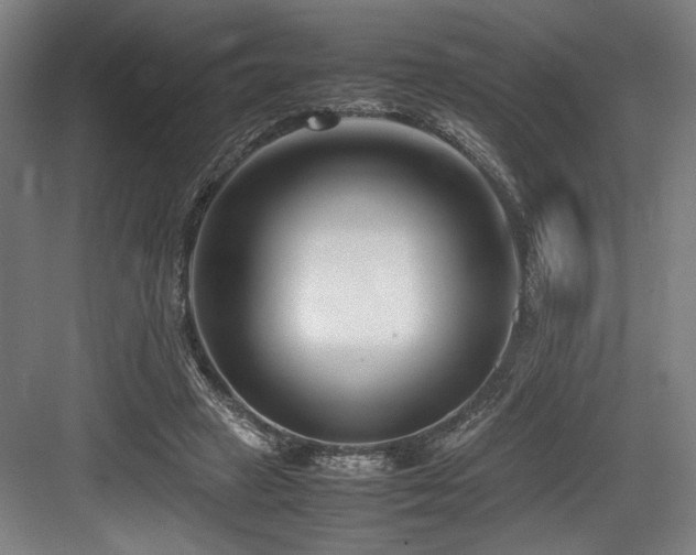 X0000083660449200702121220
