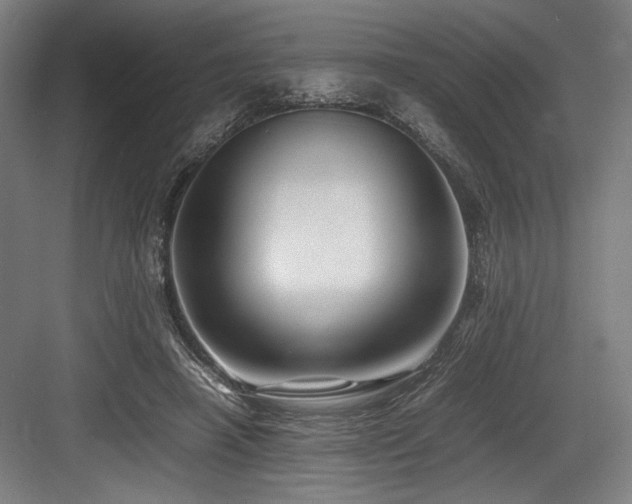 X0000083660450200702121220