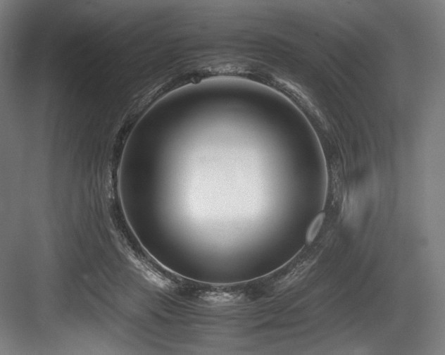 X0000083660453200702121220