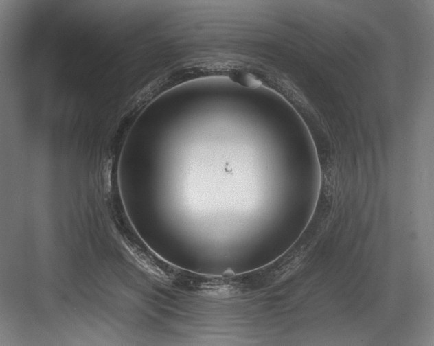 X0000083660454200702121220