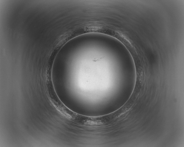 X0000083660455200702121220