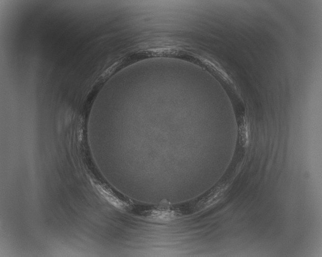 X0000083660458200702121220