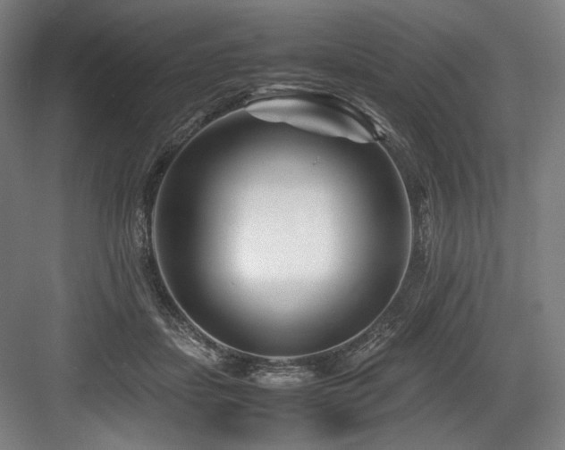 X0000083660459200702121220