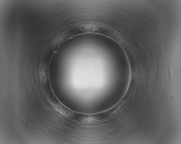X0000083660460200702121220