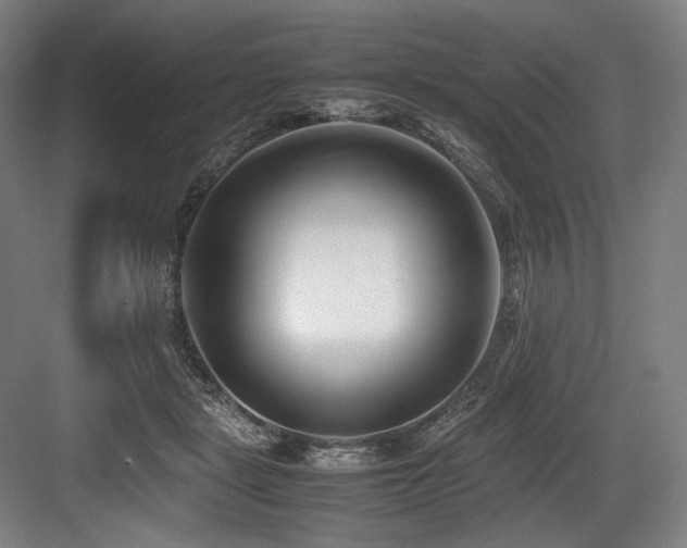 X0000083660461200702121220