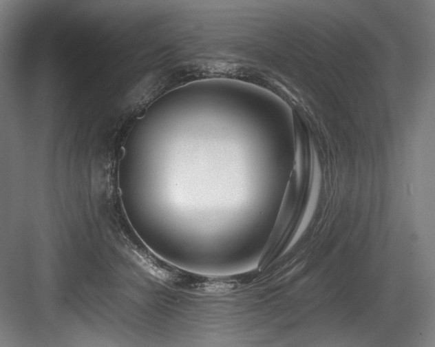 X0000083660462200702121220