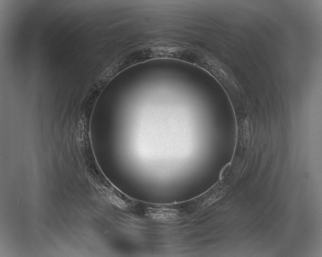X0000083660463200702121220