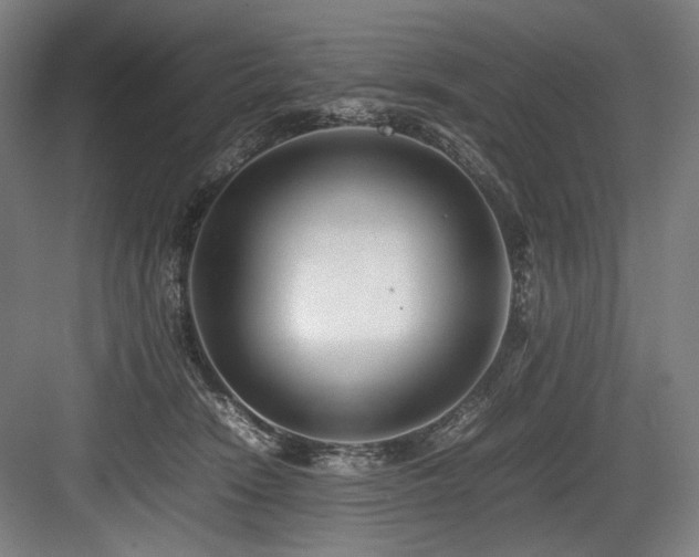 X0000083660466200702121220