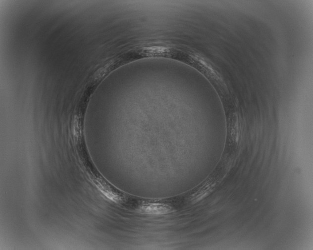 X0000083660467200702121220