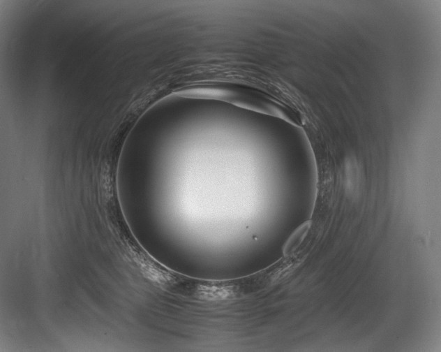 X0000083660469200702121220