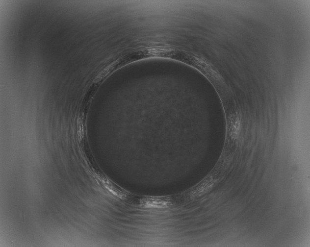 X0000083660471200702121220