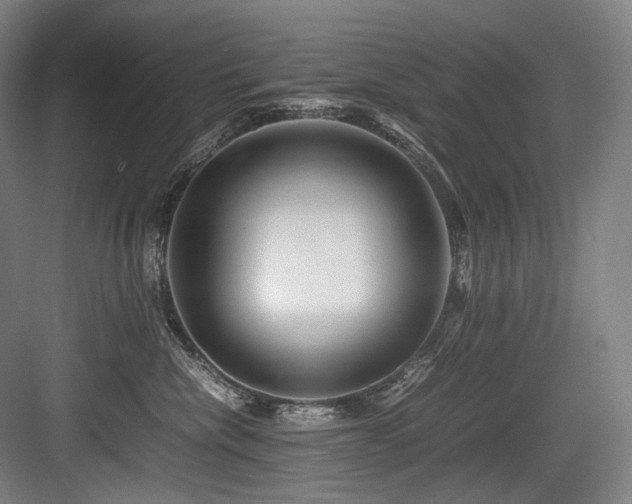 X0000083660476200702121220