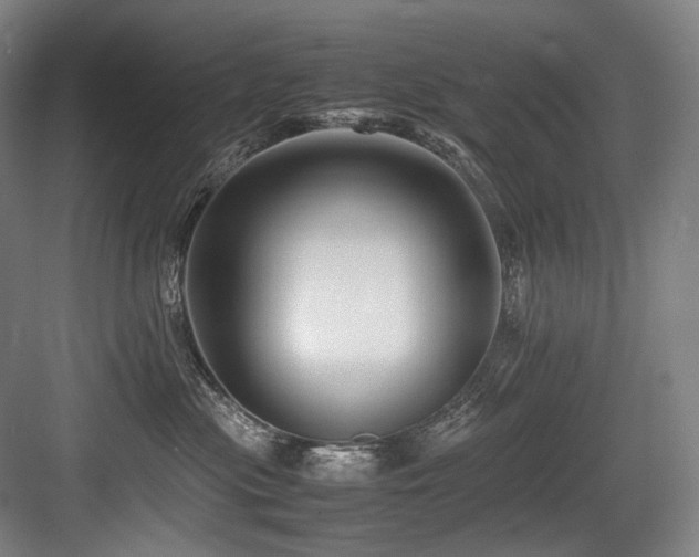 X0000083660477200702121220