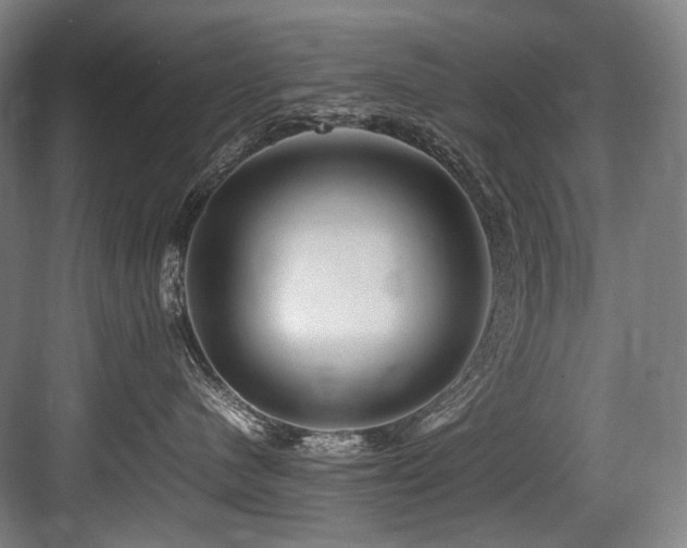 X0000083660480200702121221