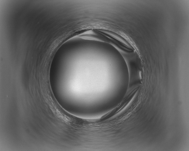 X0000083660481200702121220