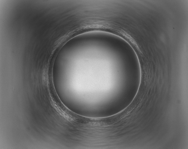 X0000083660482200702121220