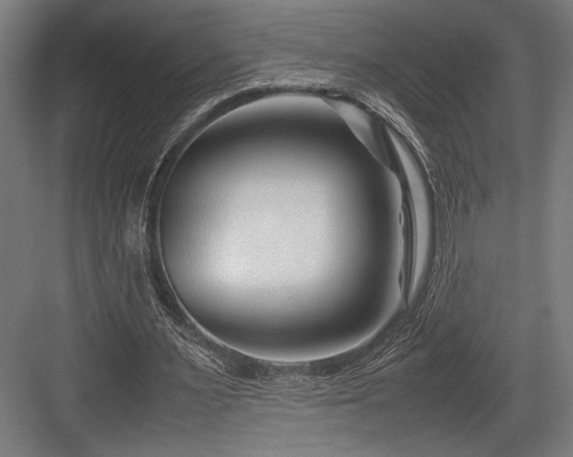 X0000083660483200702121220