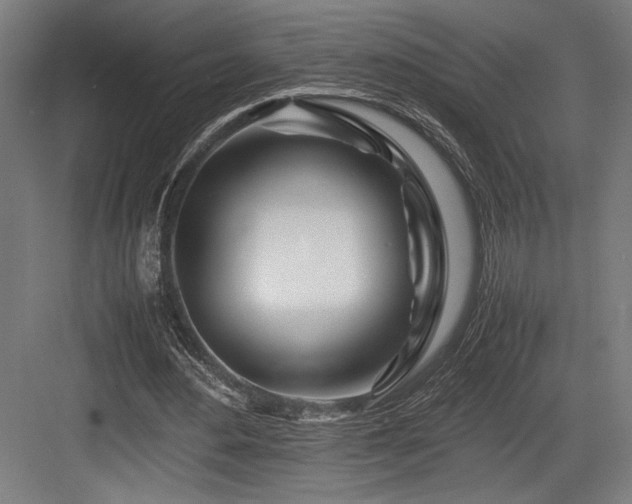 X0000083660484200702121220