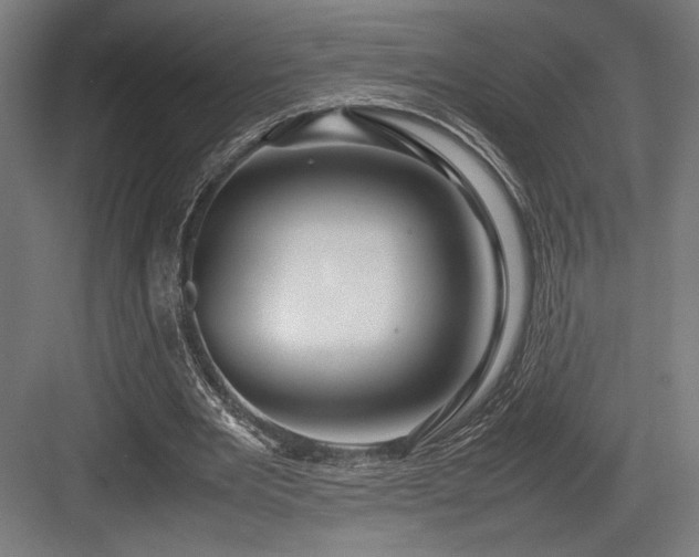 X0000083660485200702121220