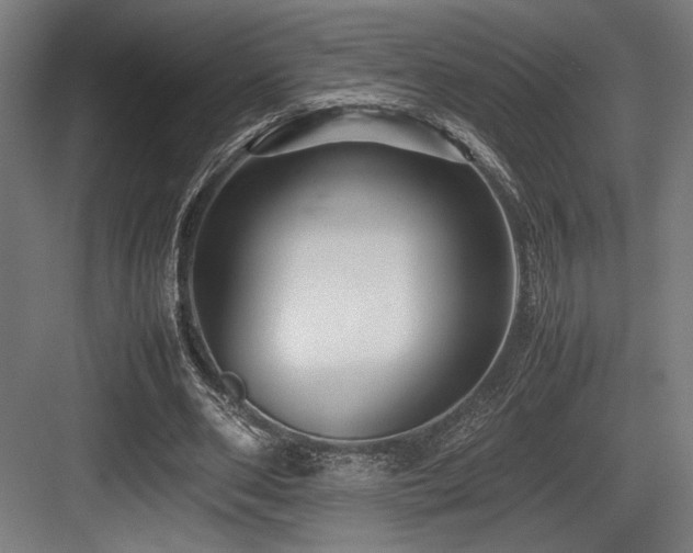 X0000083660486200702121220