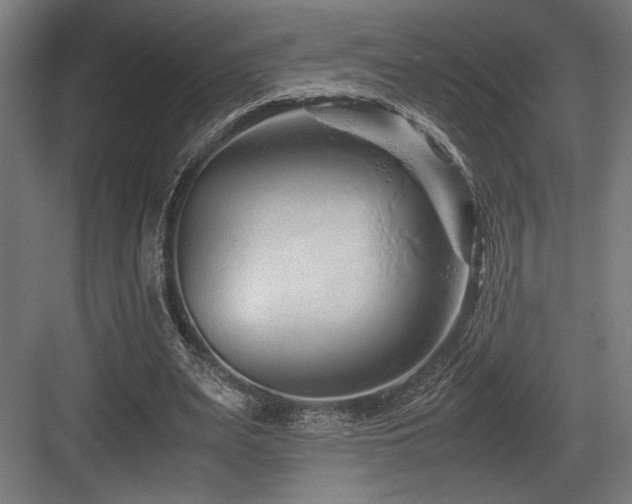 X0000083660487200702121220