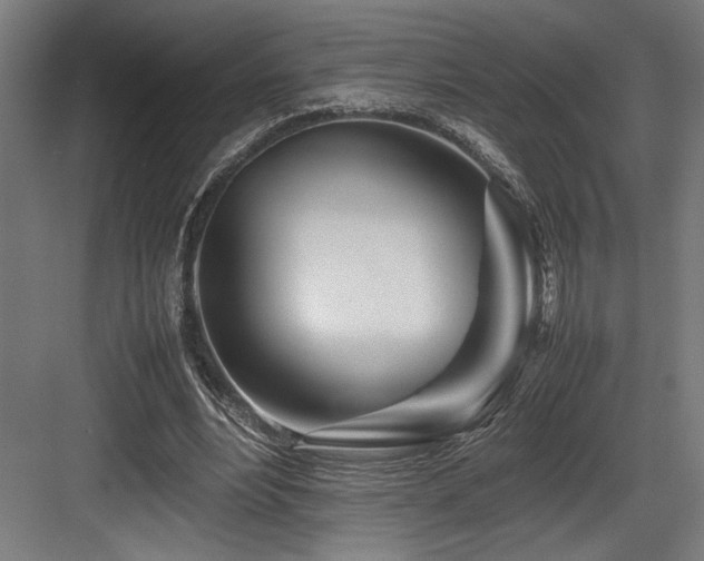X0000083660488200702121220