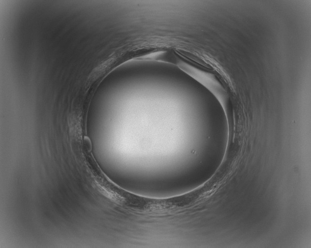 X0000083660489200702121220