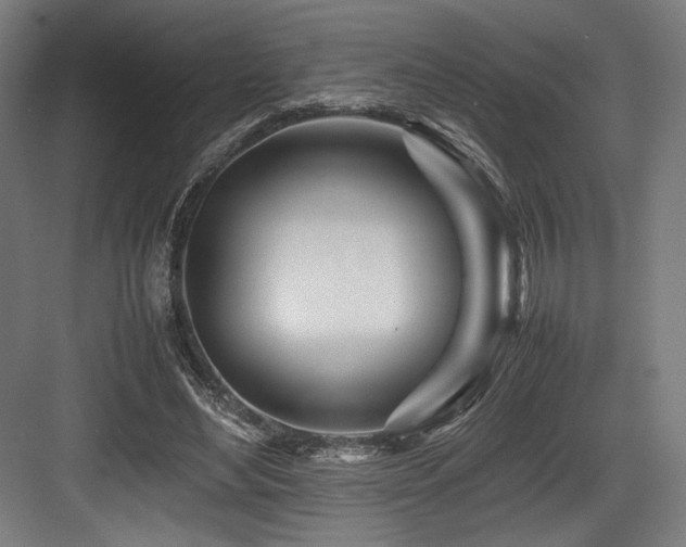 X0000083660492200702121220
