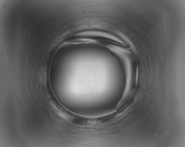 X0000083660493200702121220