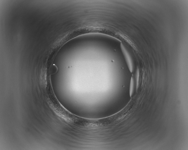 X0000083660494200702121220
