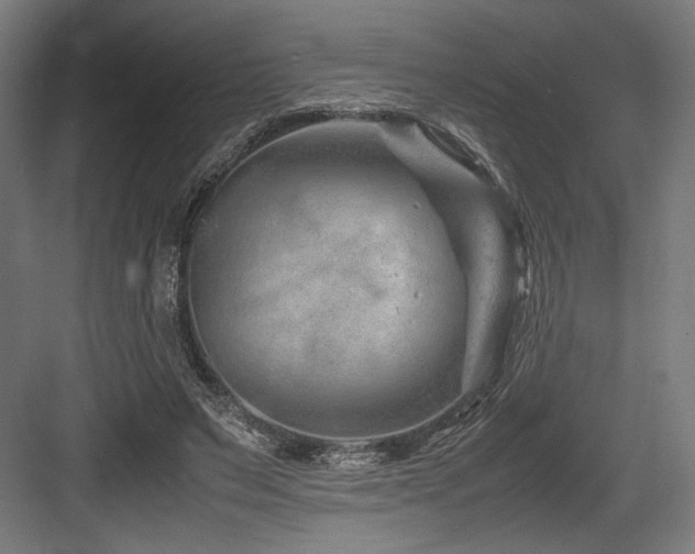 X0000083660495200702121220
