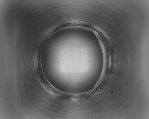 X0000083660496200702121219