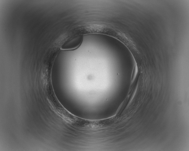 X0000083660498200702121219