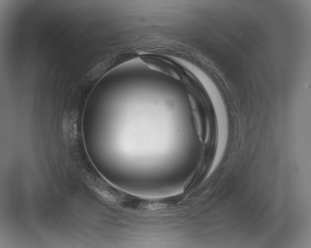 X0000083660501200702121219