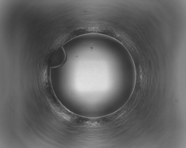 X0000083660502200702121219