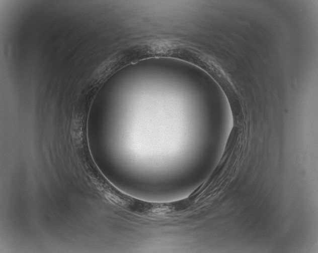 X0000083660505200702121219