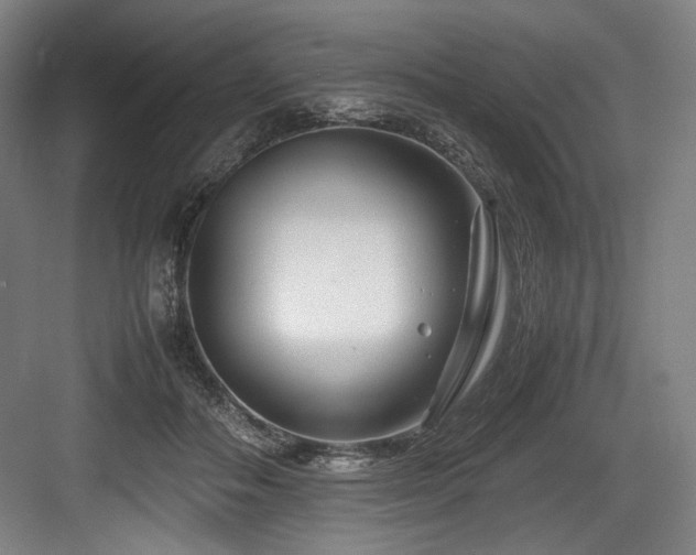 X0000083660506200702121219