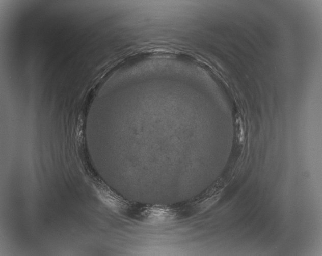 X0000083660507200702121219